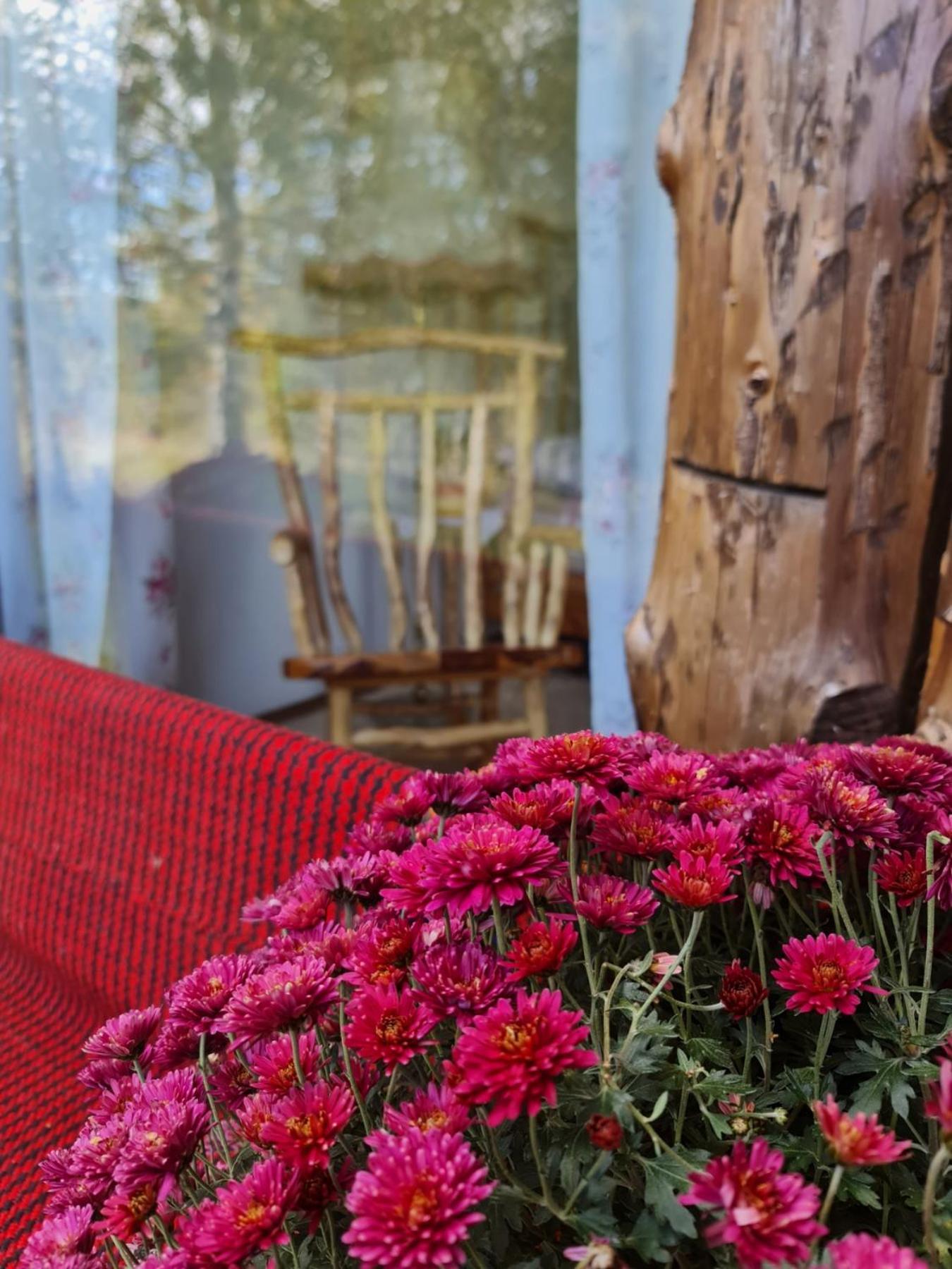 Ethno Village Montenegro Brezna Plužine Buitenkant foto